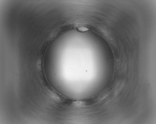 X0000073480269200608140824