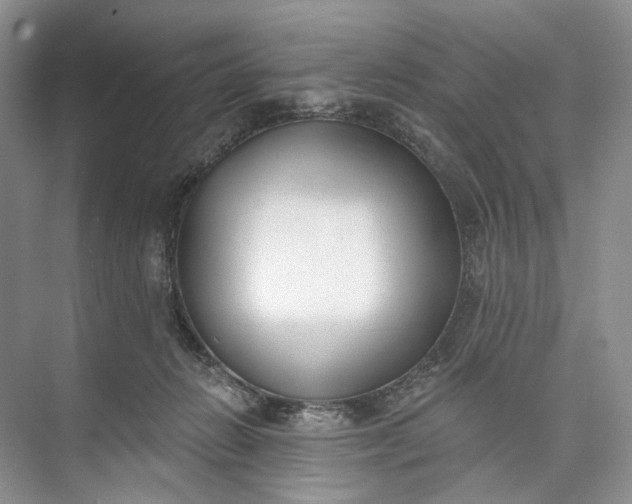 X0000073480270200608140824