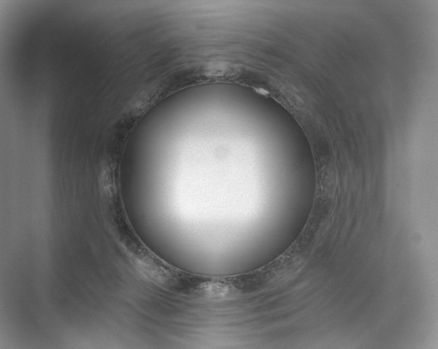 X0000073480272200608140824