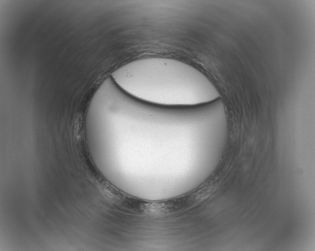 X0000073480273200608140824