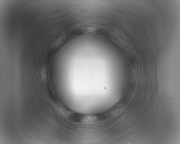 X0000073480274200608140824