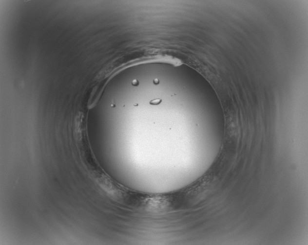 X0000073480275200608140824