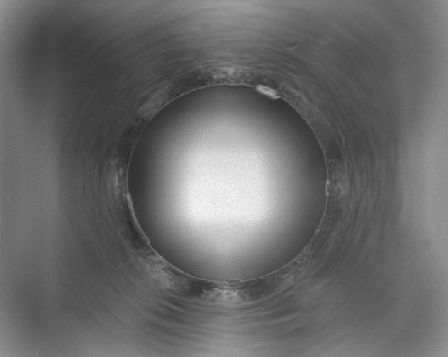 X0000073480276200608140824