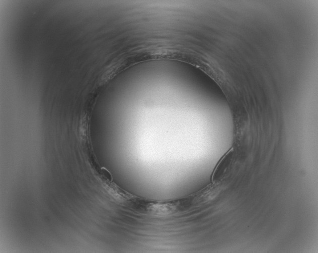 X0000073480277200608140824