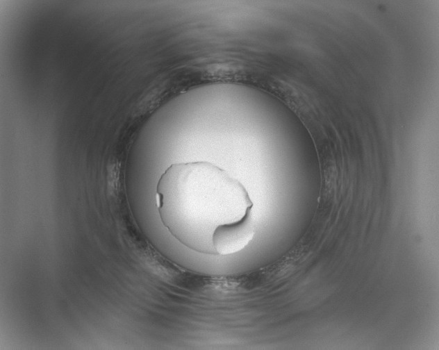 X0000073480278200608140824