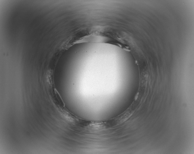 X0000073480280200608140824