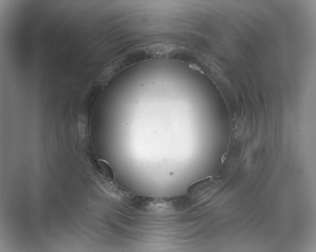 X0000073480283200608140824