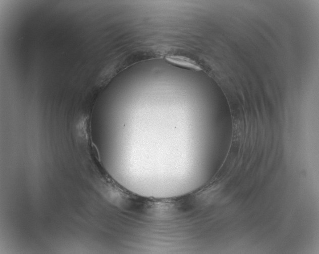 X0000073480286200608140824