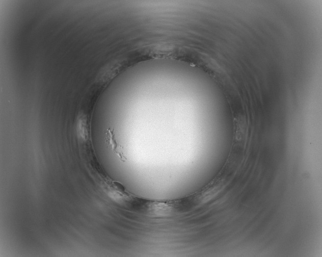 X0000073480287200608140824