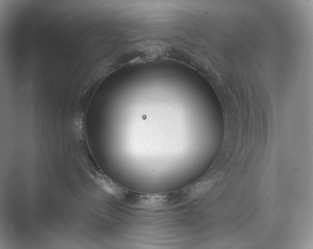 X0000073480288200608140824