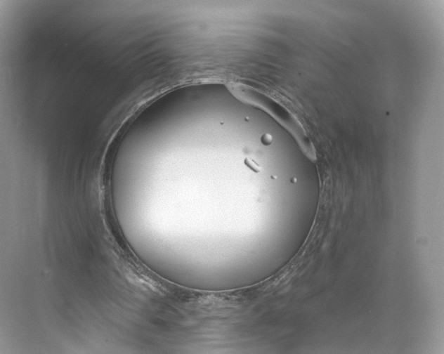 X0000073480290200608140823