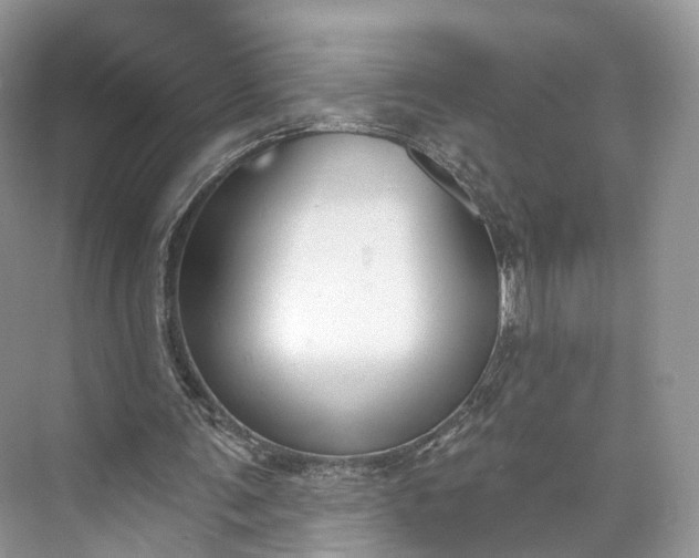 X0000073480291200608140823