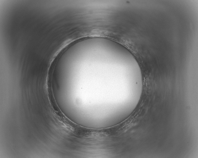 X0000073480292200608140823