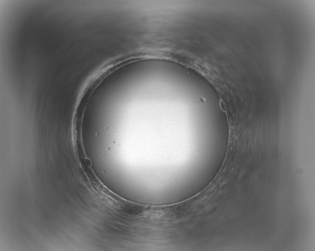 X0000073480294200608140823