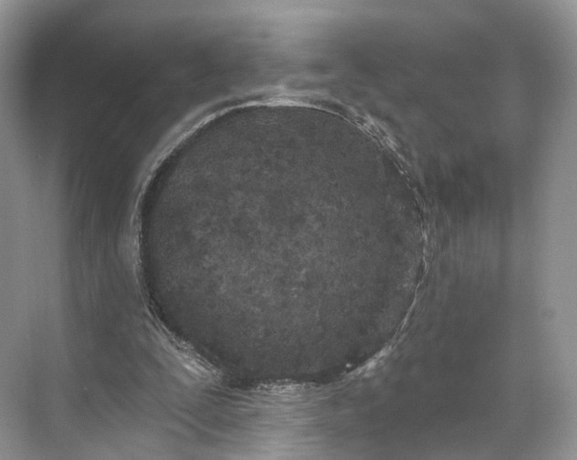 X0000073480295200608140823