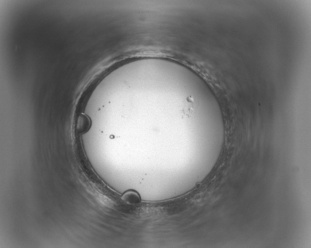 X0000073480296200608140823