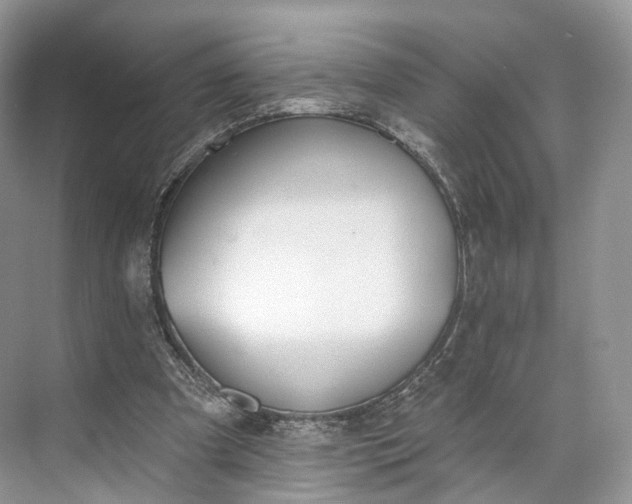 X0000073480297200608140823