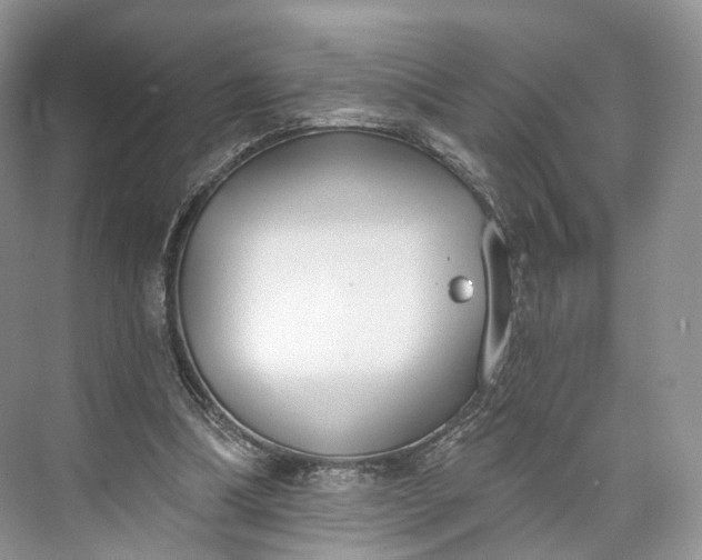 X0000073480298200608140823