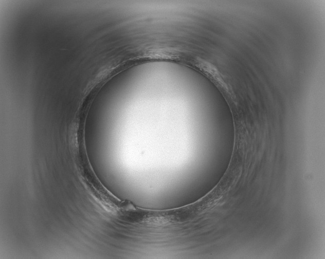 X0000073480299200608140823