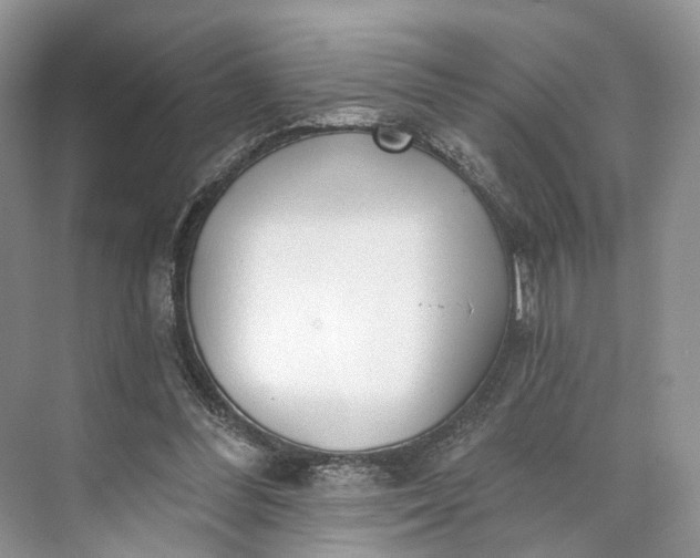 X0000073480300200608140823