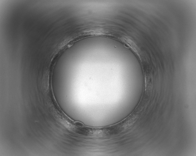 X0000073480301200608140823