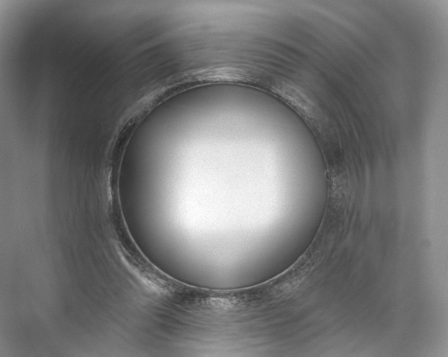 X0000073480302200608140823