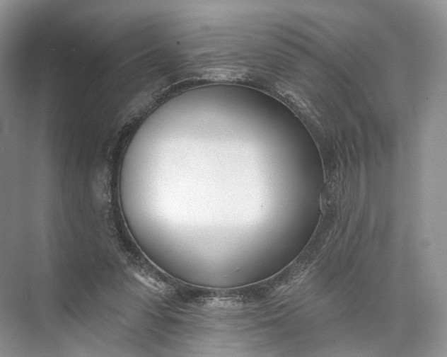 X0000073480303200608140823