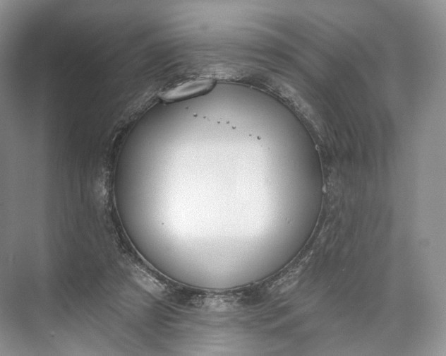 X0000073480305200608140823