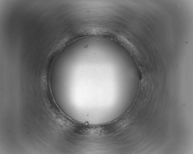 X0000073480306200608140823