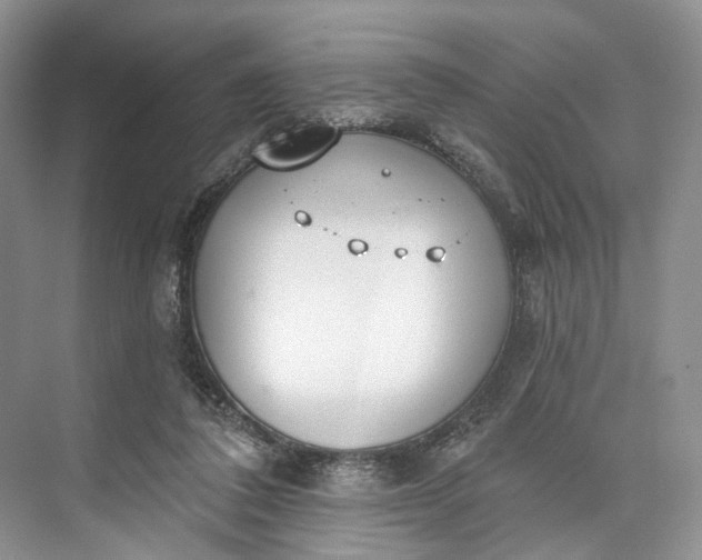 X0000073480308200608140823