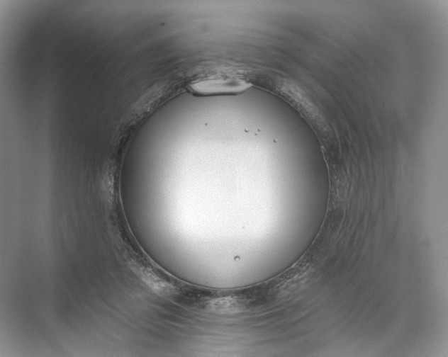 X0000073480309200608140823