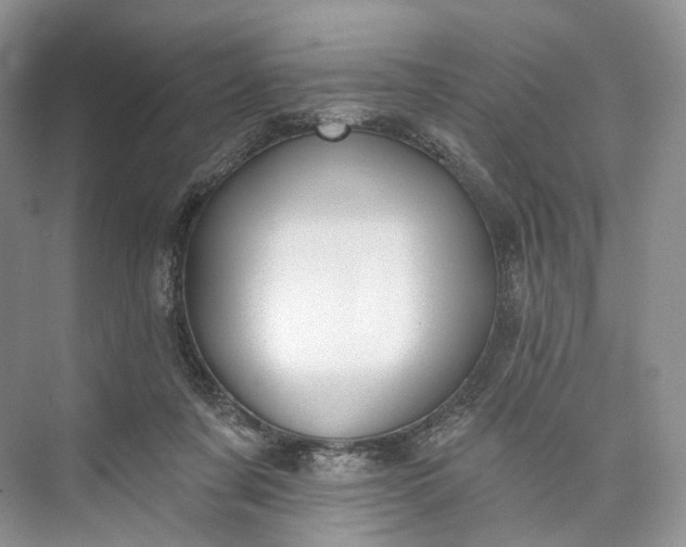 X0000073480311200608140823