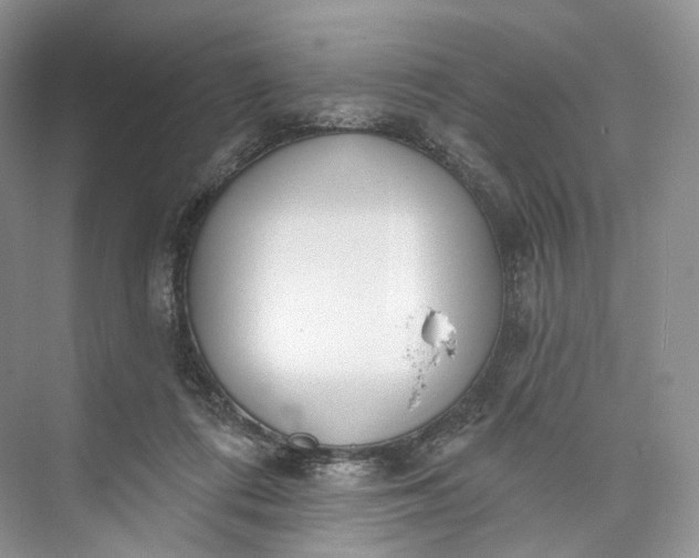 X0000073480312200608140823