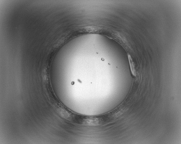 X0000073480317200608140823