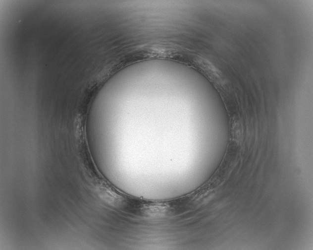 X0000073480318200608140823