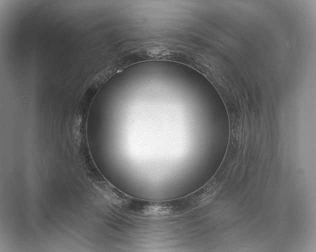 X0000073480319200608140823