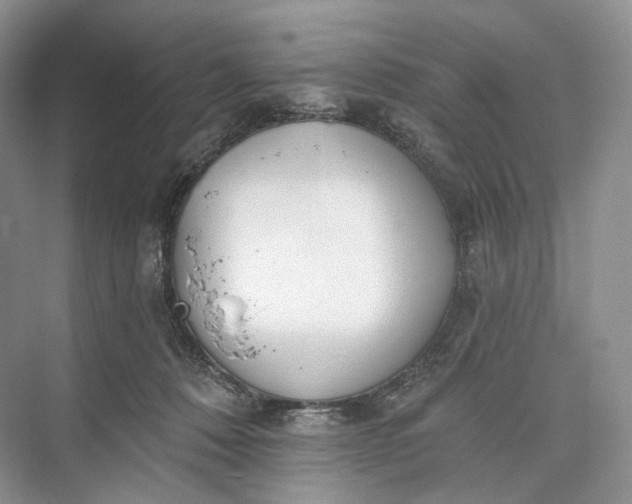 X0000073480320200608140823