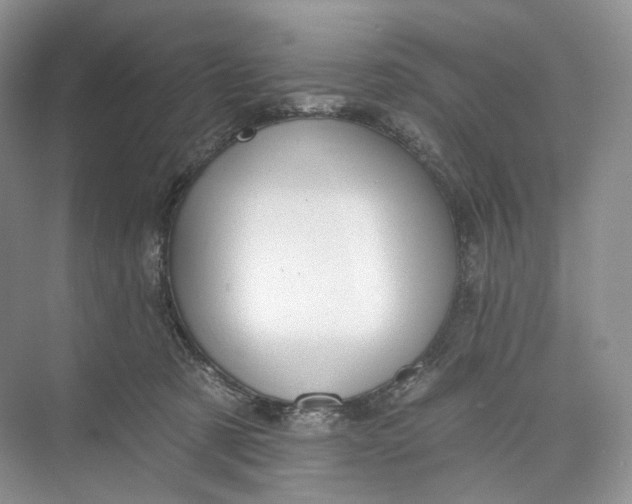 X0000073480321200608140823