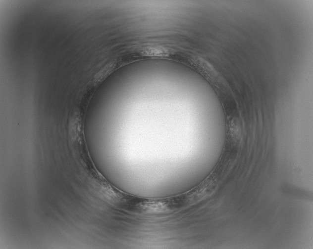 X0000073480322200608140823