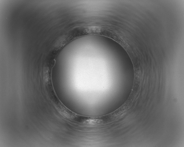 X0000073480323200608140823