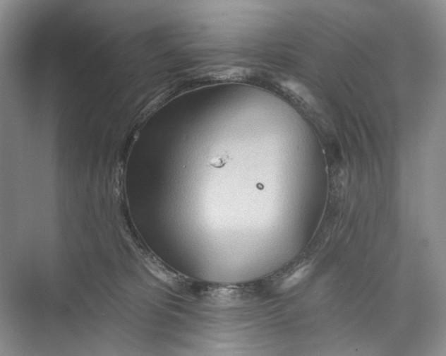 X0000073480325200608140823