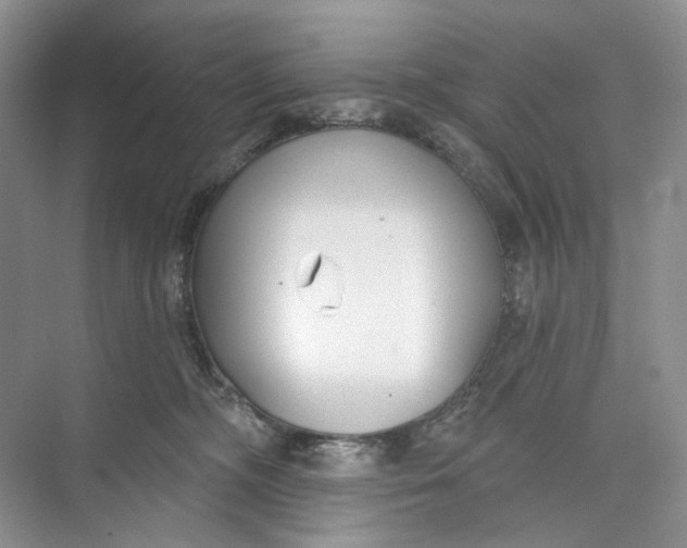 X0000073480326200608140823