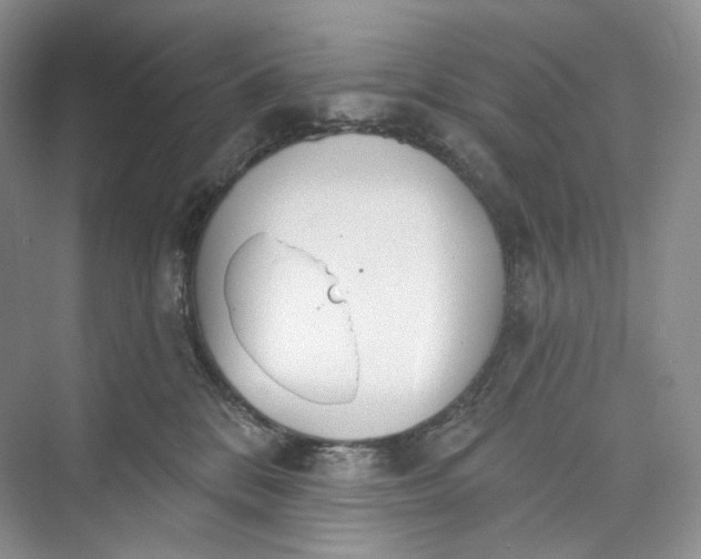 X0000073480328200608140823