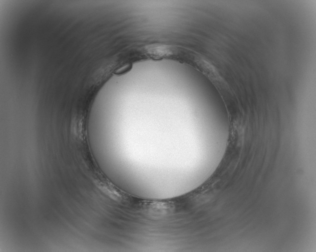 X0000073480330200608140823