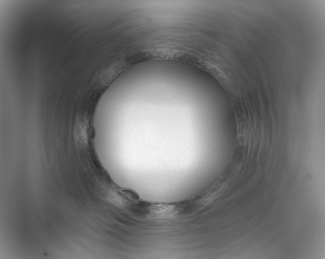 X0000073480334200608140823