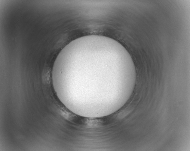 X0000073480336200608140822