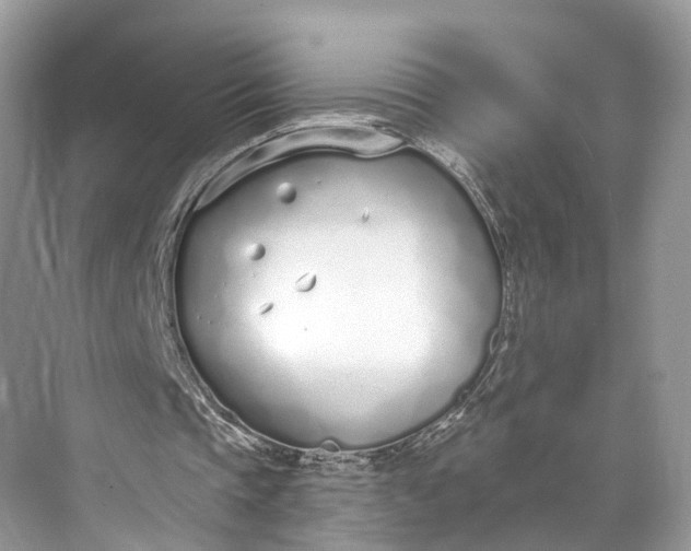 X0000073480337200608140822