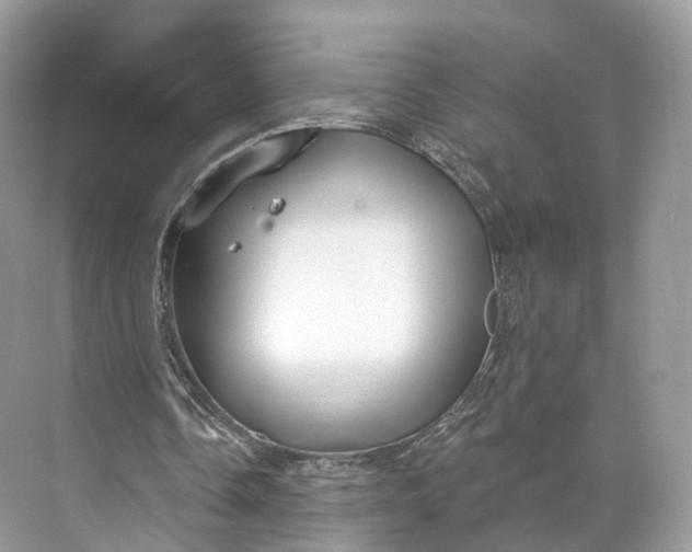 X0000073480338200608140822