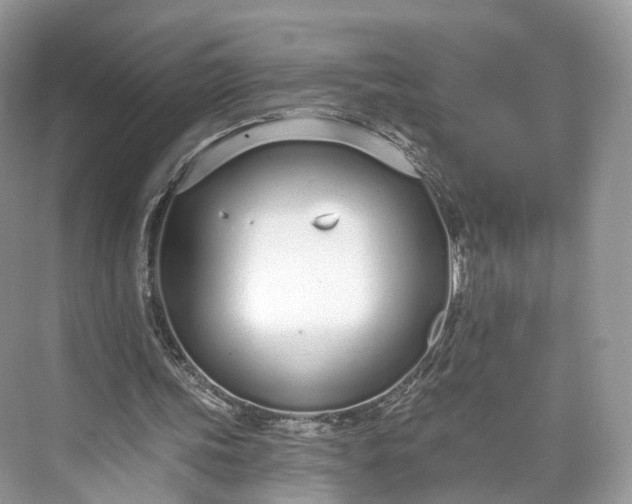 X0000073480339200608140822