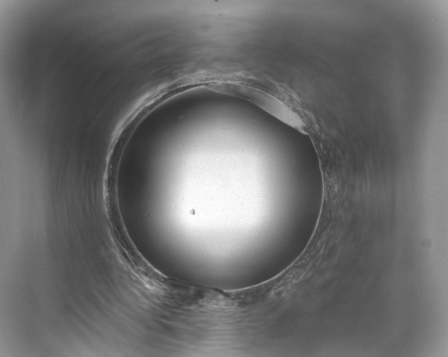 X0000073480340200608140822